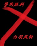 清穿：清見食（原四爷我真不会做菜）